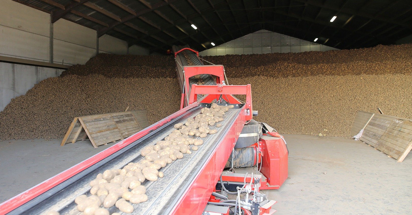 Important Step In The Storage Process Storing Potatoes   2 2  Beeld Cel Die Gevuld Wordt #keepProtocol